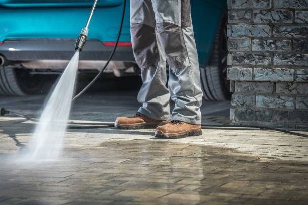 Best Pool Deck Cleaning  in Cannon Falls, MN