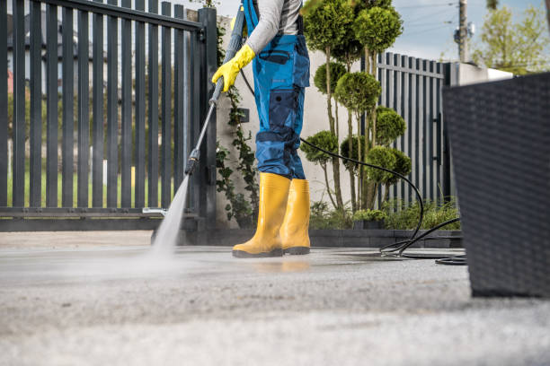 Best Fence Cleaning  in Cannon Falls, MN