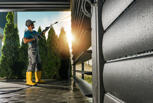Best Sidewalk and Walkway Cleaning  in Cannon Falls, MN